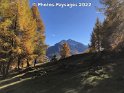 Rando Grimentz-alpage de Tsirouc (Val d'Anniviers, VS), 16.10.2022