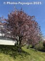 30.03.2025 (2)