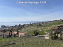 30.03.2025 (7)