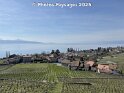 30.03.2025 (8)