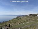 30.03.2025 (10)