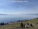 30.03.2025 (11)