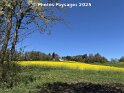 18.04.2025 (2)