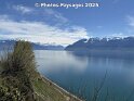 Lavaux (VD), 19.04.2025