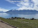 19.04.2025 (9)