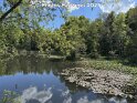 Etang de la Bressonne (VD), 17.05.2025