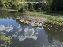 17.05.2025 (2)