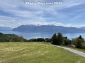 24.05.2025 (3)