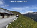 29.05.2025 (12)