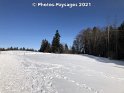 24.01.2021 (3)