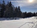 24.01.2021 (4)
