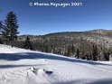 24.01.2021 (8)