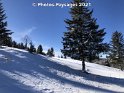 24.01.2021 (9)