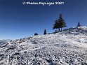 24.01.2021 (11)