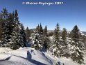 24.01.2021 (17)