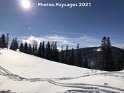 24.01.2021 (27)