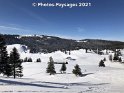 24.01.2021 (28)