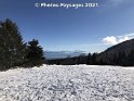 24.01.2021 (31)
